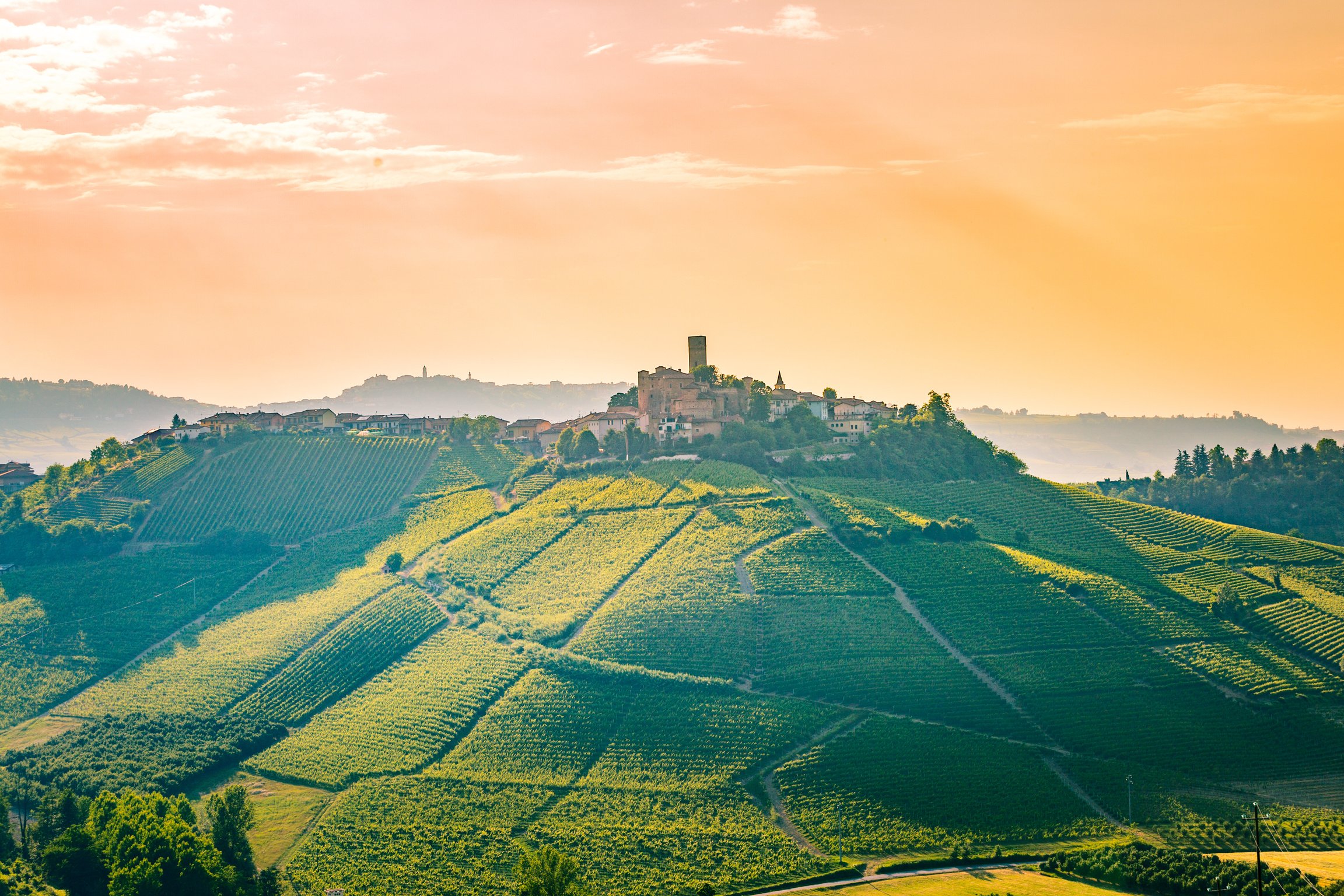 Barolo wine region, Langhe, Piedemont, Italy. Vineyards